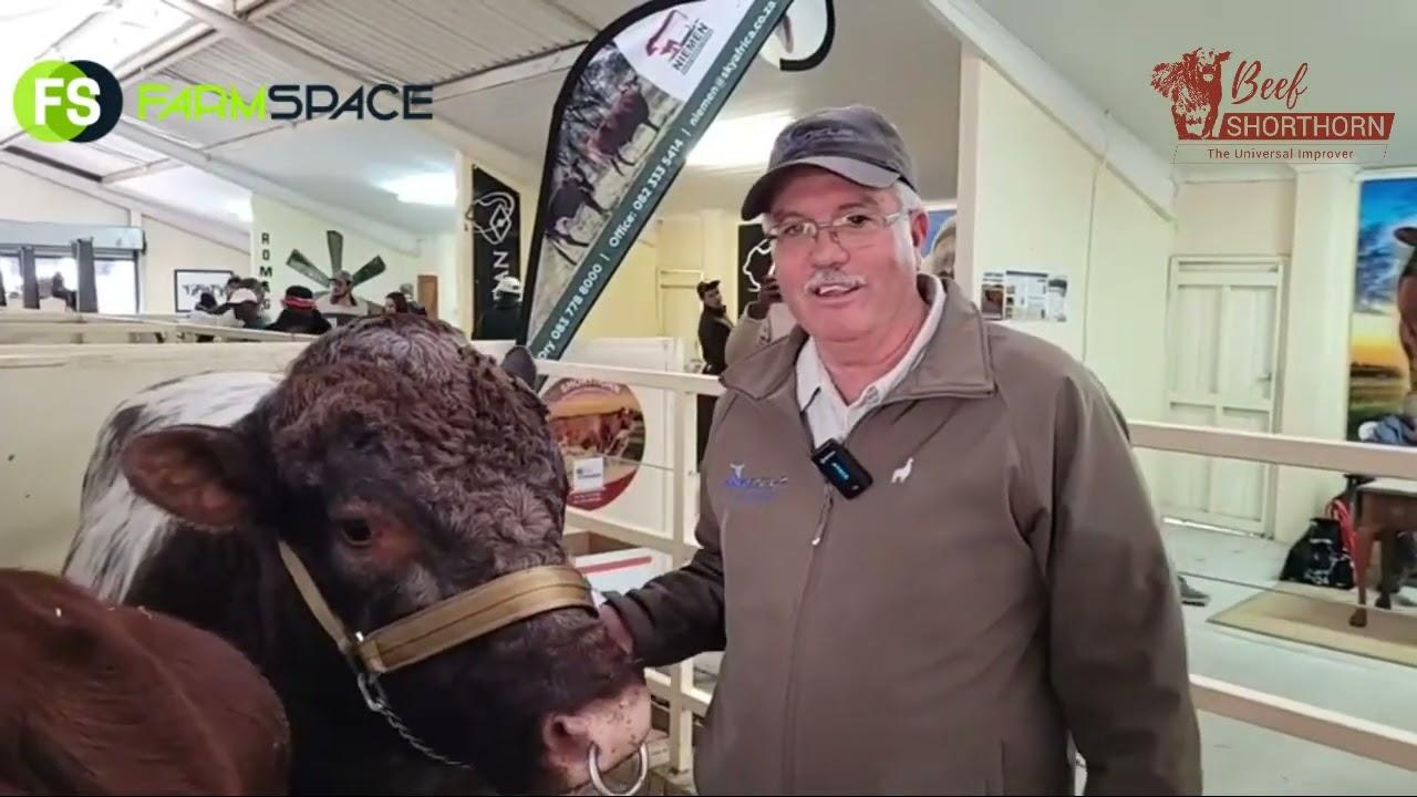 Ek gesels met Hendrik Strydom van Shorthorn by Nampo 2022.