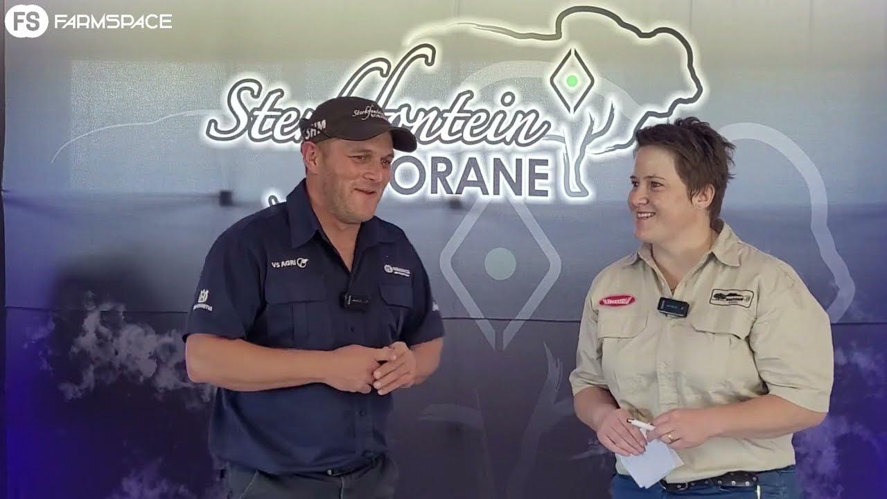 Ons gesels met Elzaan Fourie by die Sterkfontein Veiling, sy het weggeloop met die hoogste prys bul.