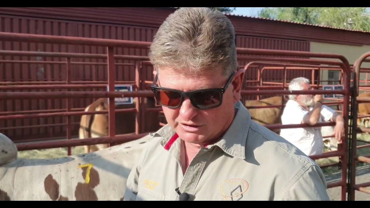 Christopher Havenga neem ons deur die Bosiu Borane aanbieding.