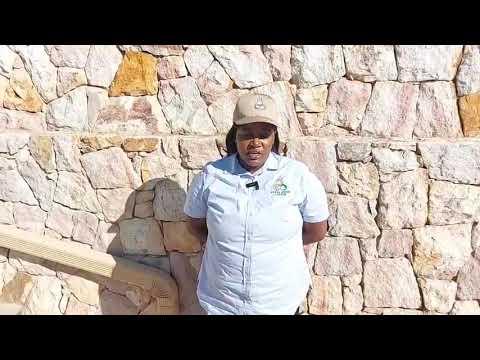 Join our discussion with Jessica from NTABA NYONI BORAN after the Primigravida Boran Heifer Sale