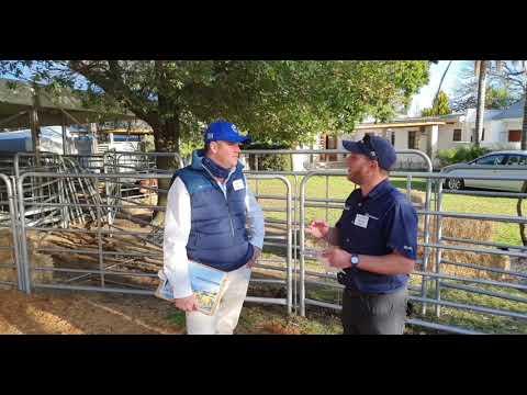 AJ du Toit gesels oor sy veilig wat sopas klaar gemaak het