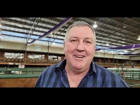 Gert Barnard, president van die Droughtmasters, gesels met ons.