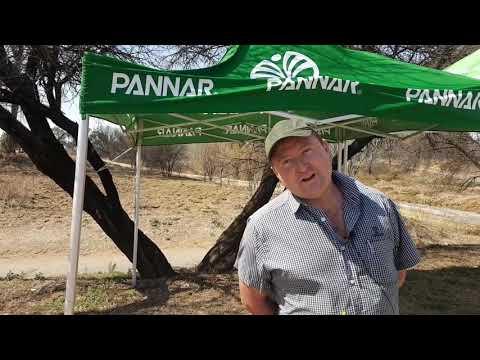 Pannar Seed by Agriculture.Golf