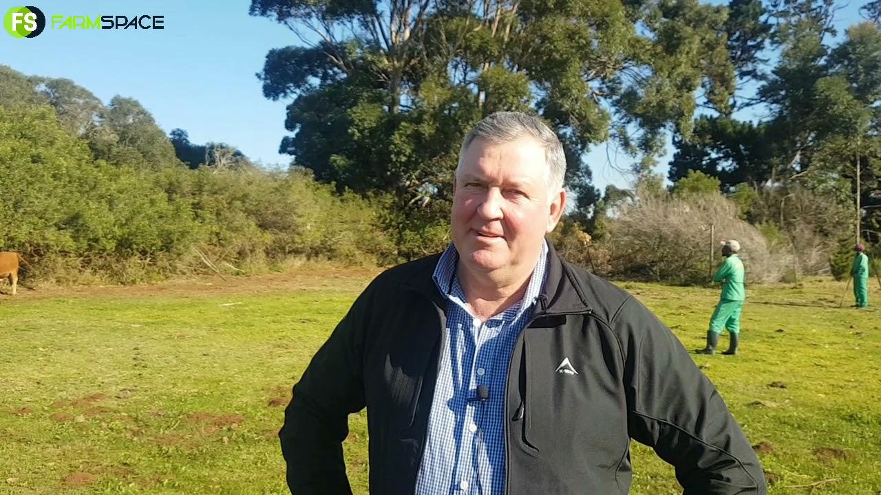 Ons gesels met Gert Barnard oor die Droughtmasters Genetics Veiling