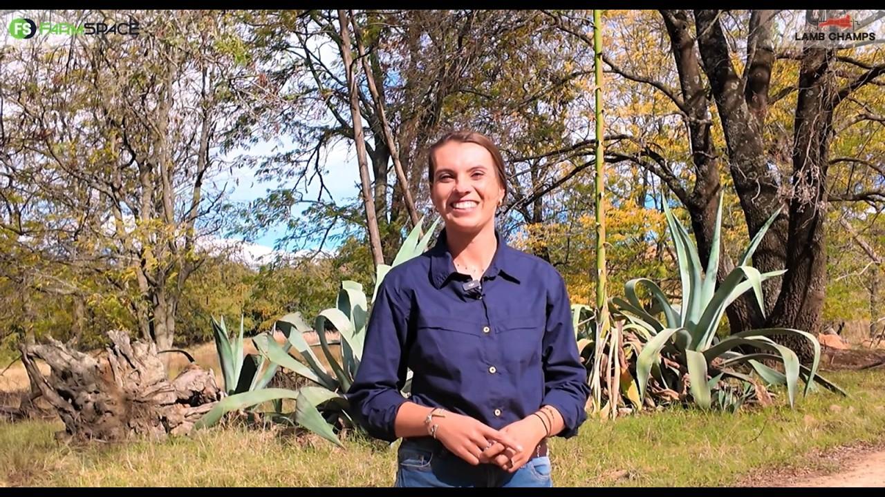 Rozelle boer met Meatmasters en Dohne Merino op haar plaas.