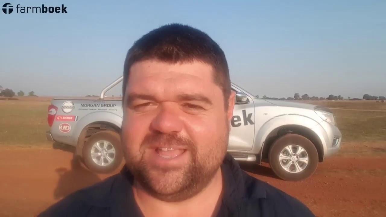 Waterval Angus Auction 2019