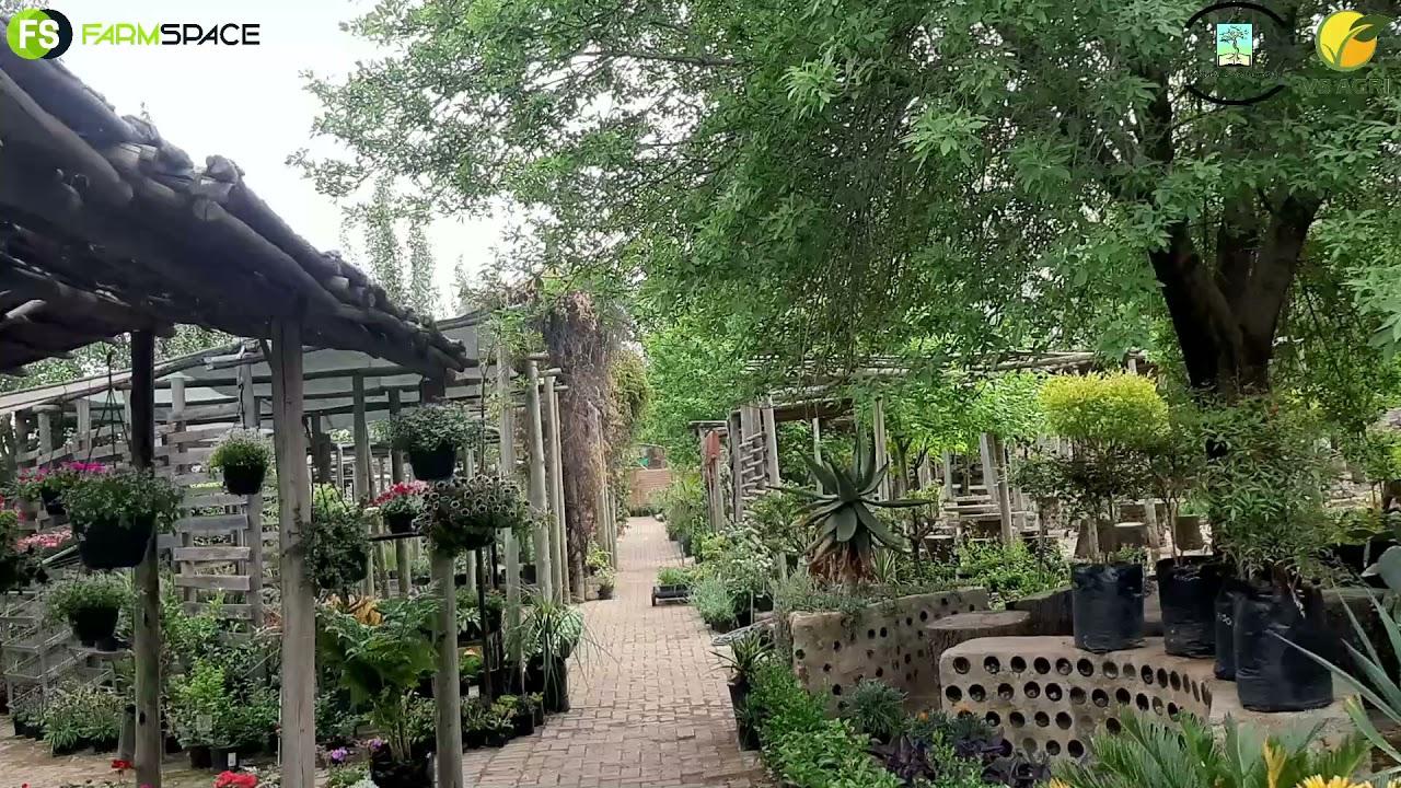 Mighty Grow Nursery - Your one-stop shop in Vanderbijlpark
