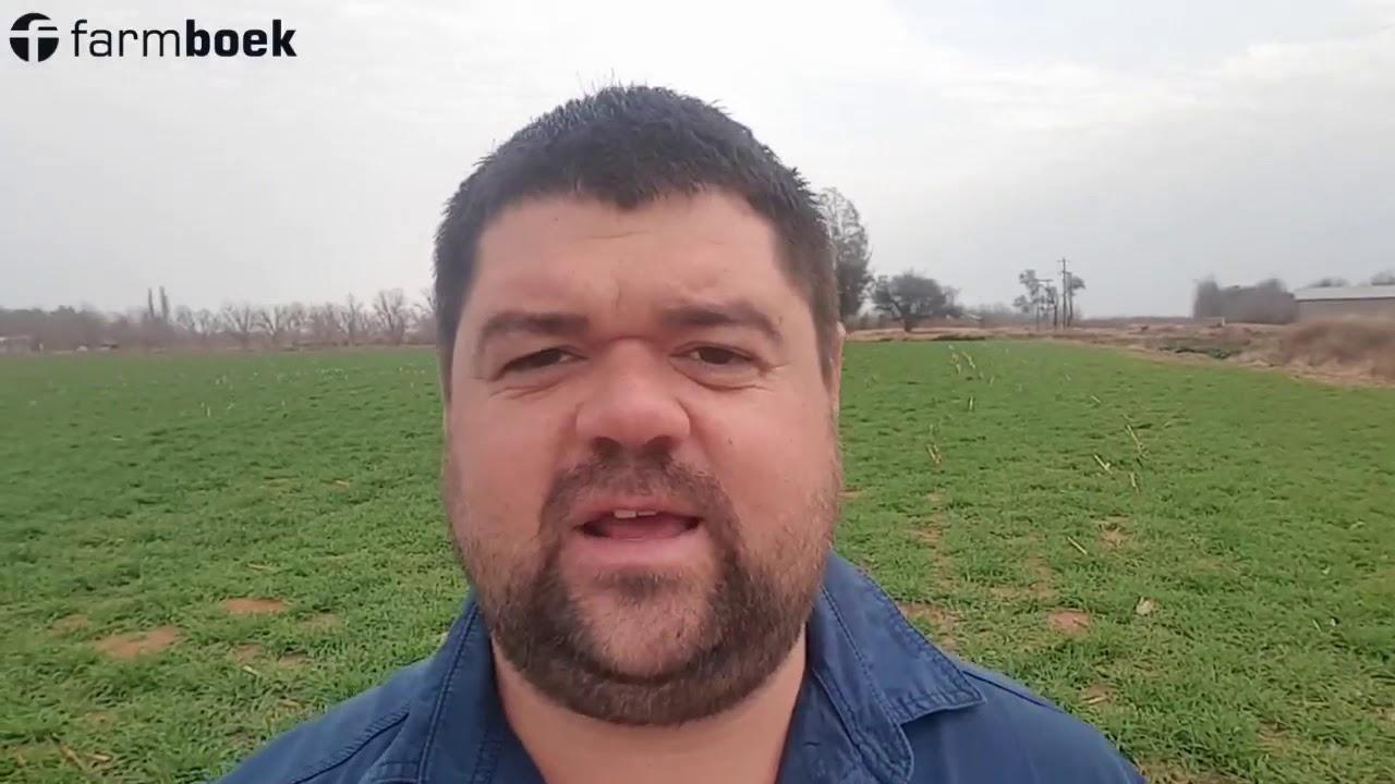 Nampo Cape is almost here!