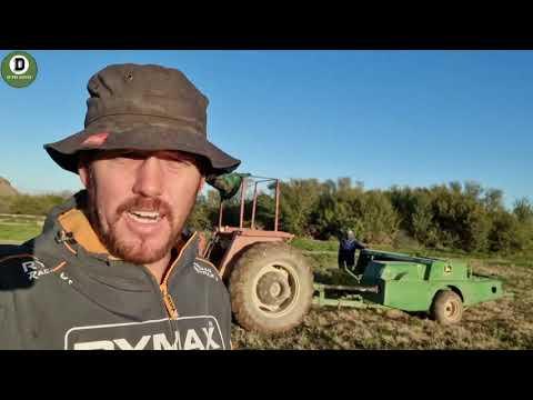 Ons stamp gou 'n paar lusern bale voor die seisoen klaar maak.