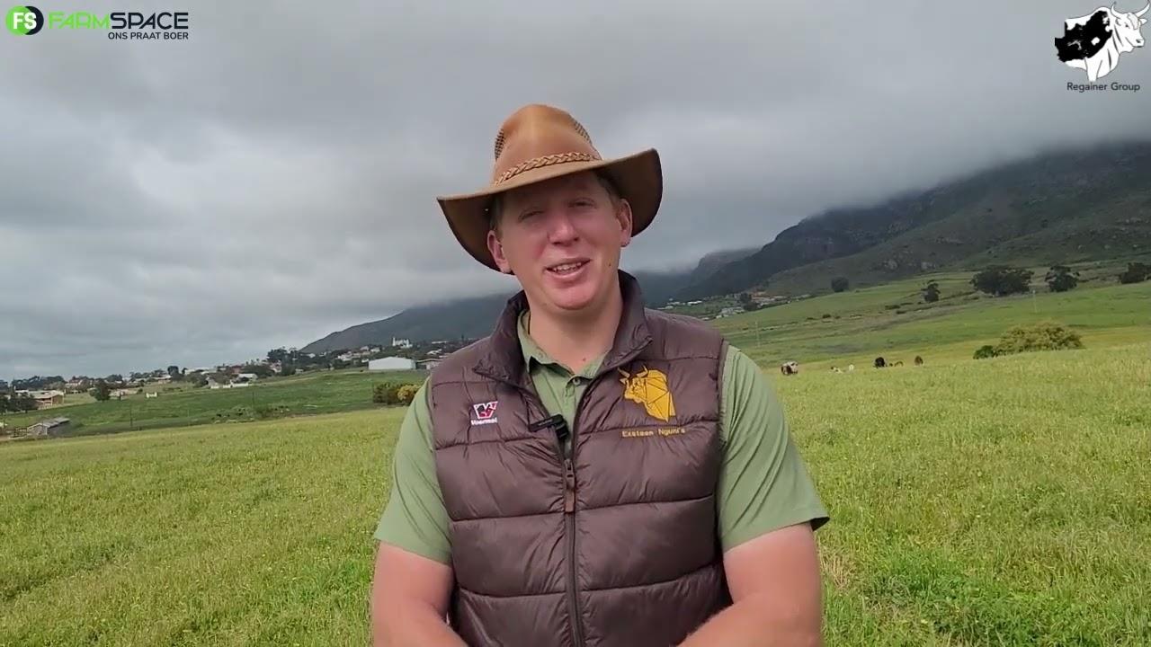 Ons gesels met Lochner Eksteen oor die Nguni Regainer Veiling en die standaarde vir die veiling.
