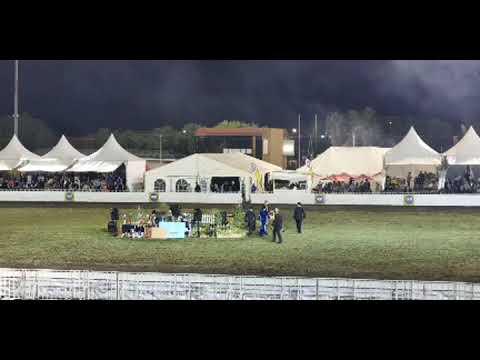 Nationale Saalperd Kampioenskappe regstreeks vanaf Bloemskou 2022 Bloem Show 2022 Deel 2