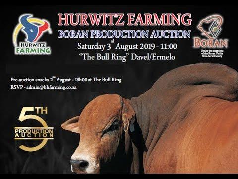 Hurwitz Farming Produksie Veiling