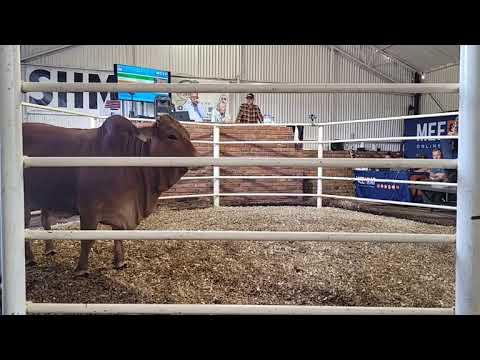 Fonteine Boran Production Auction 2023