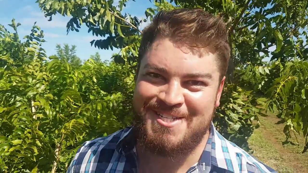 Hoe versorg jy jou Pekanneut boord?​