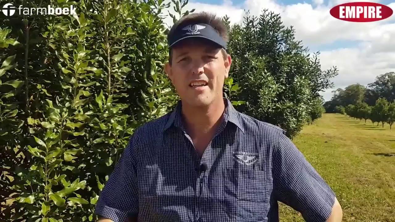 Avoridge Macridge Farmers Day 2020 - What does the Macadamia market look like?