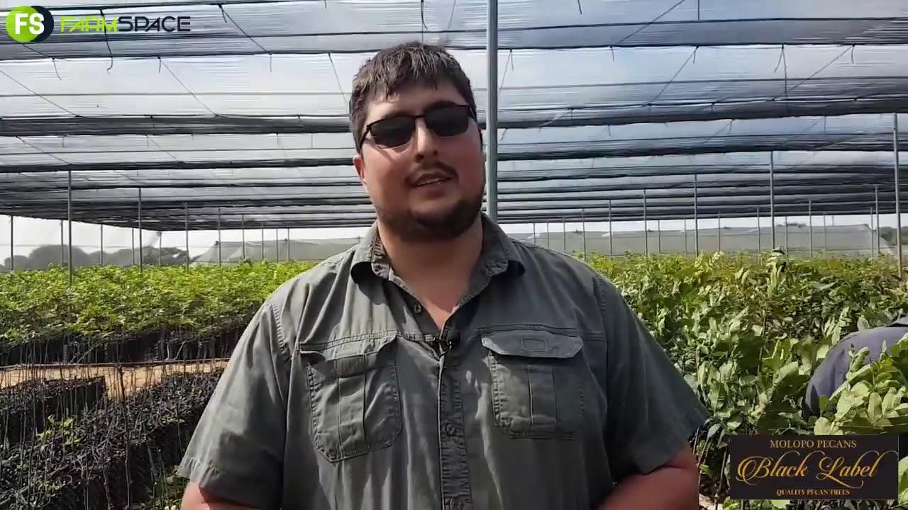 Occulation at Molopo Pecans