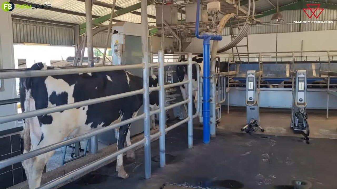 Massey Ferguson - A Game Changer for Dairy Farmers