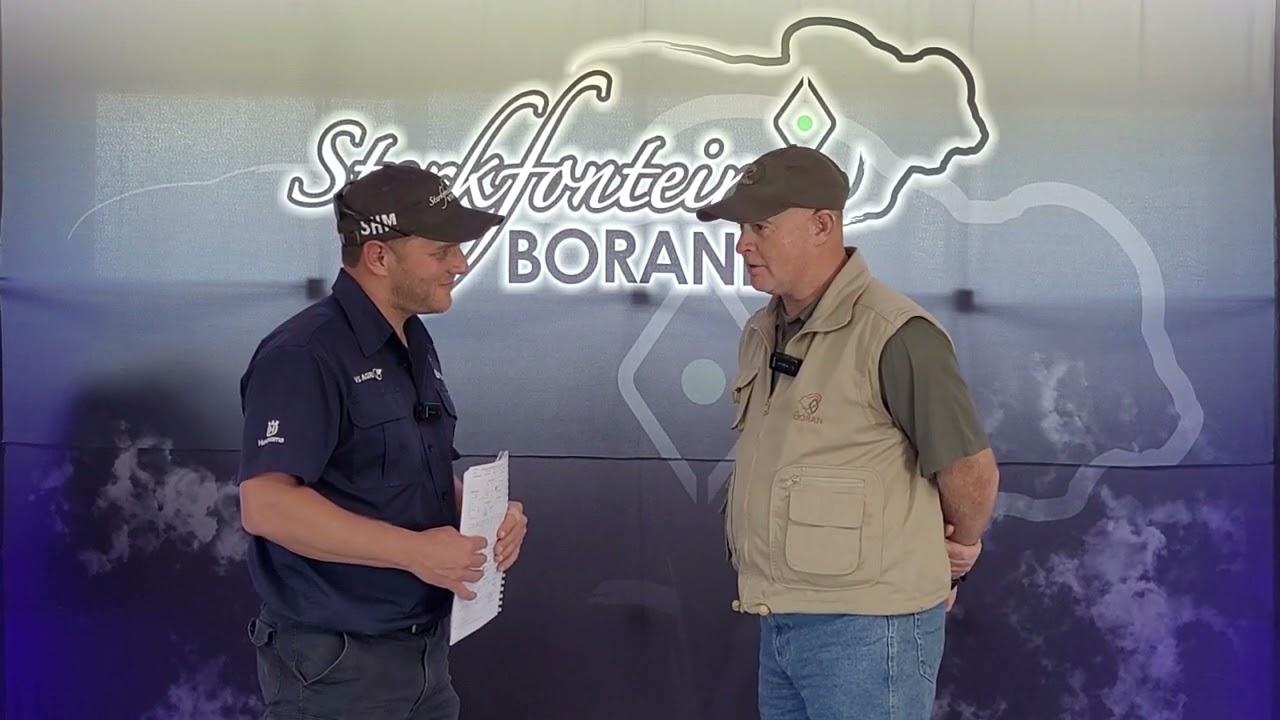 Ons gesels met Danie Botha na die Sterkfontein Borane Veiling oor sy aankope en teling.