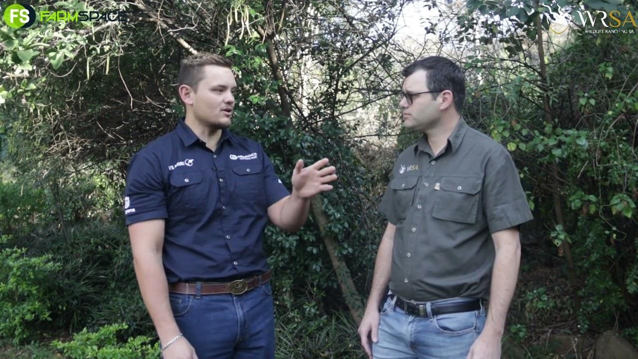 Wat doen Wildlife Ranching South Africa (WRSA) vir die wildsbedryf?