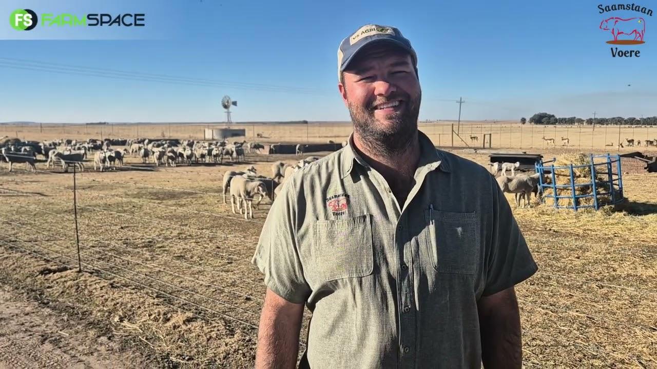 Boer jy met skape of wil jy met skape boer? Kyk na wat Saamstaan Voere vir jou kan bied.