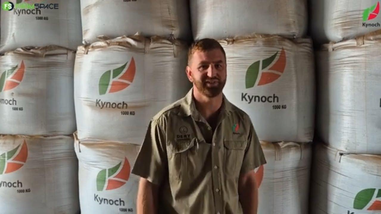 Hoekom gebruik WP al vir 14 jaar Kynoch?