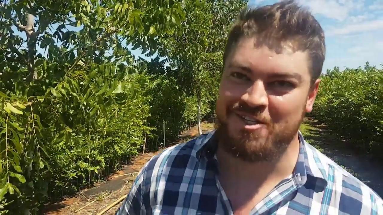 Green Grow Pecans: Wie is ons en hoe gaan ons te werk?
