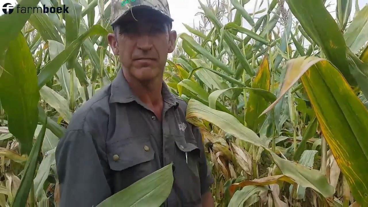 Chrissiesmeer Farmers Day 2020 - United Seeds Maize