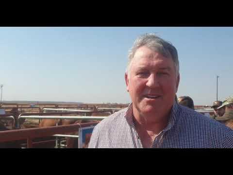 Ons gesels met Gert, voorsitter van Droughtmaster oor die Hotspot aanbieding
