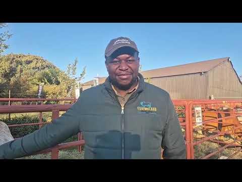 Emmanual Malatse van die Tshimologo Boran gesels oor Fonteine Borans op die vooraand van die veiling