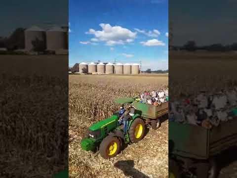 Harvester Race 2018 - And away they go!