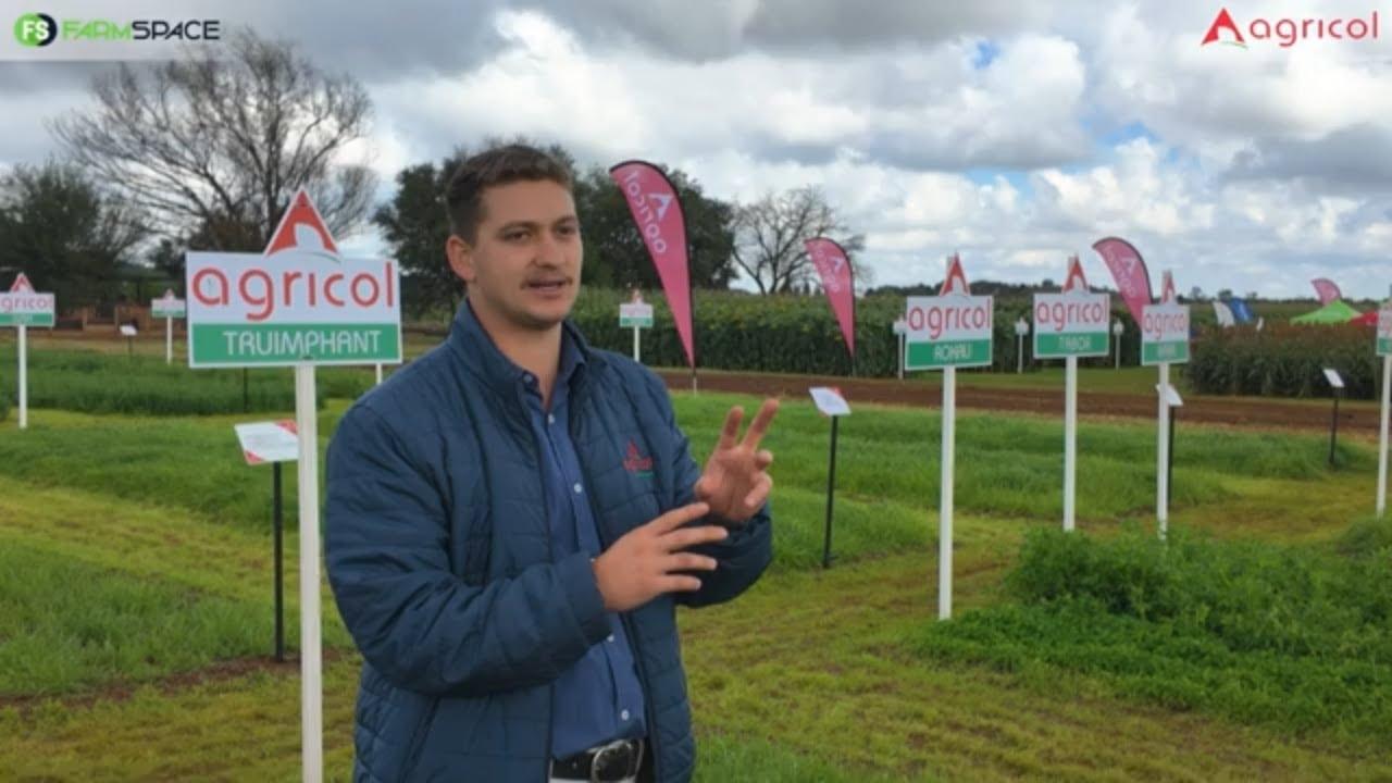 Do you want to know more about tempred grasses?