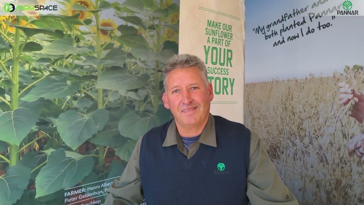 Hoekom moet jy 'n Pannar plant?