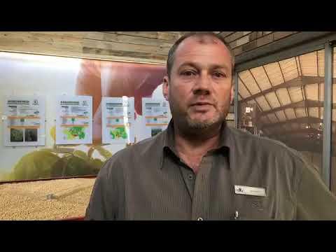 Pioneer Seed South Africa, whats new at Pioneer Nampo2019