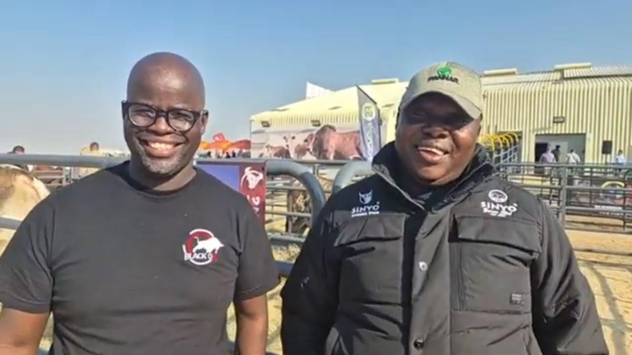 Collins Tafireyi from Sinyo Boran Stud & Rogers Sithole Black Ox Farming - Hurwitz Farming Auction.