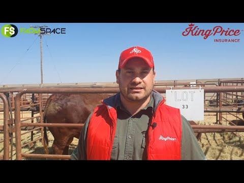 Charl van King Price oor hulle betrokkenheid by die blouskool en Santa Gertrudis se 3 in 1 veiling.