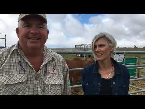 Cape Boran Prestige Auction - Stephnus and Renee