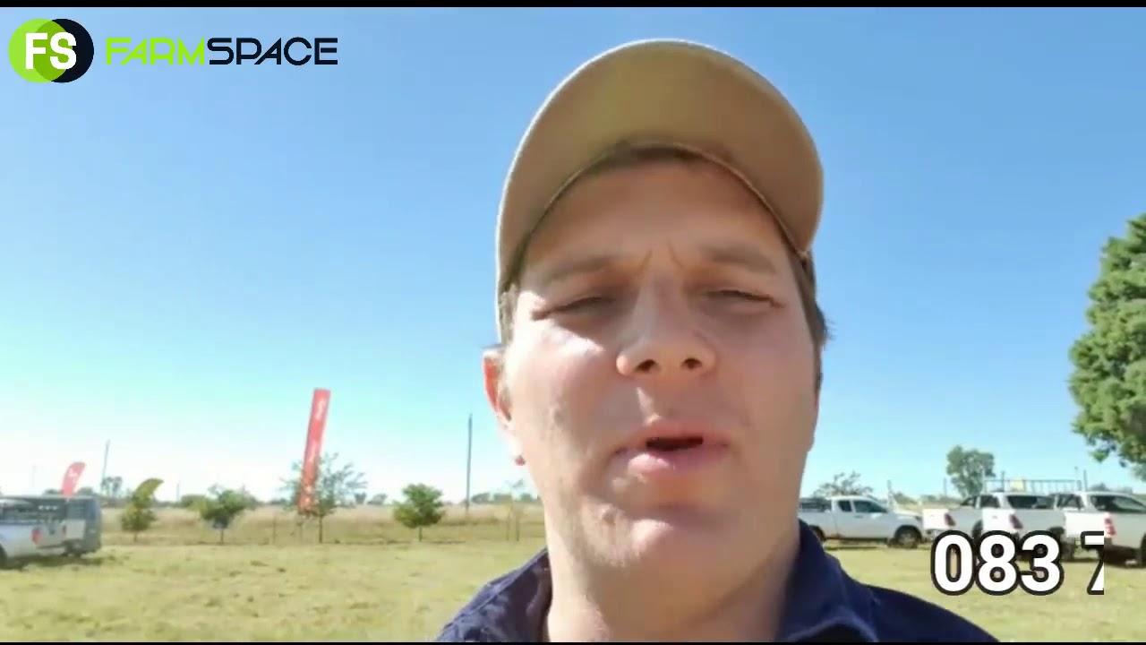 Brandwater Droughtmaster Auction on Saturday 9 Mei 2020