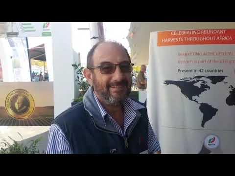 Kynoch is back! - Nampo 2019