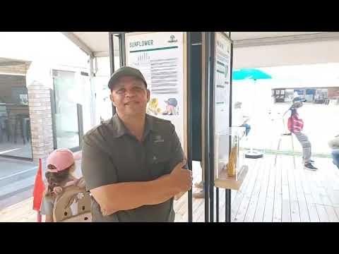 Ons gesels met Phillip, area bestuurder van Natal, by Pannar Seed, op NAMPO 2024