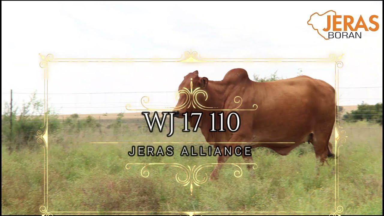 Jeras Alliance Boran Auction WJ 17 110