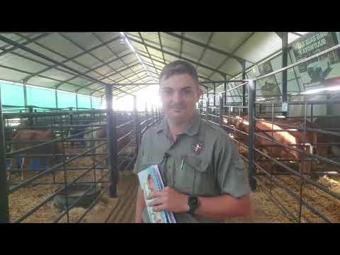 Christiaan Bredell van Yatta Borane gesels oor die veiling