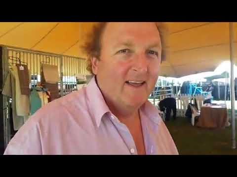 Alpaca at the Livestock Agri Expo Cape Town