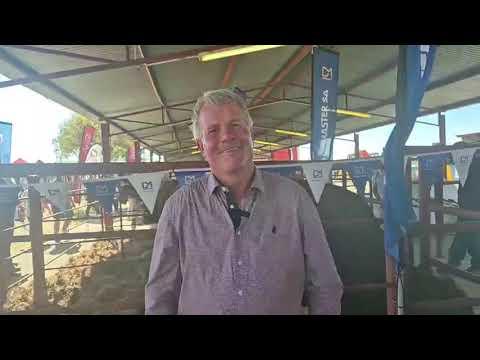 Droughtmaster SA se Marius Barkhuizen gesels met ons  by NAMPO 2024.