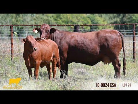 Considerata SA, the ultimate roughage "converter presents Lot 25, 18-0024 CSA