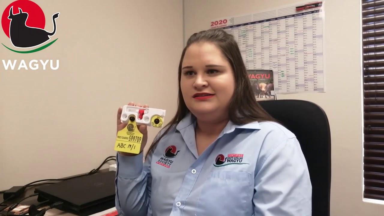 Certified Wagyu Beef's Internal process to ensure product integrity