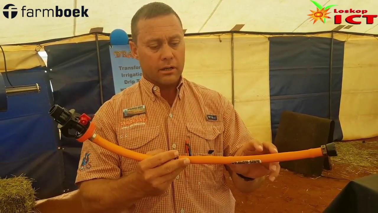 Dragon-Line Southern Africa