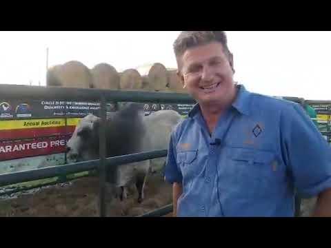 Hurwitz Summer Sale 2021 met Christopher Havenga