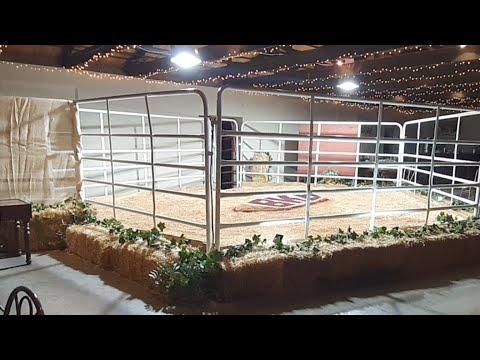 Bosiu Boran Produksie Veiling
