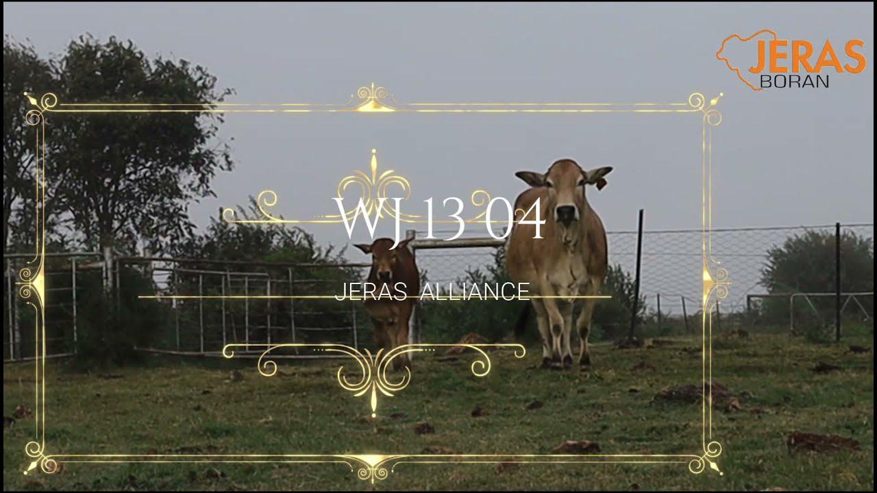 Jeras Alliance Boran Auction WJ 13 04