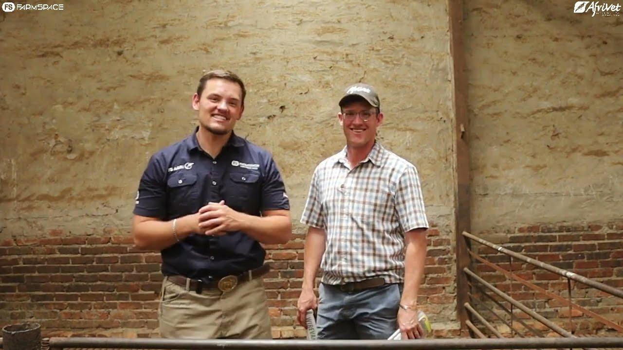 Ons praat met Ben de Wet oor die verskil wat Afrivet se Wirewax in sy skaapkudde gemaak het.